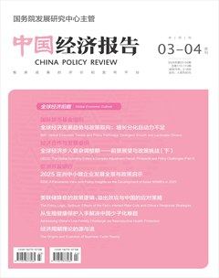 中国经济报告