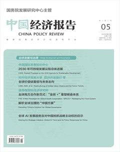 中国经济报告