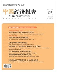 中国经济报告