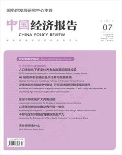 中国经济报告
