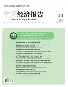 中国经济报告