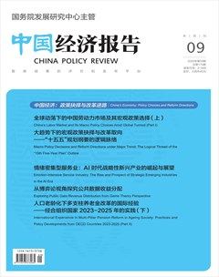 中国经济报告