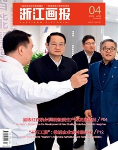 浙江画报