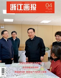 浙江画报