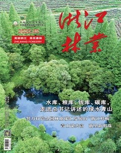 浙江林业