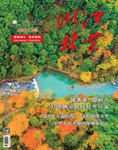 浙江林业