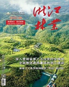 浙江林业