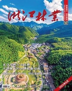 浙江林业
