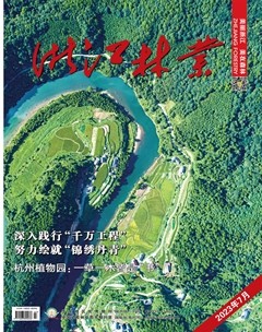 浙江林业