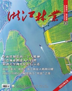 浙江林业