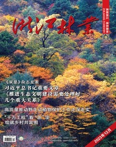 浙江林业