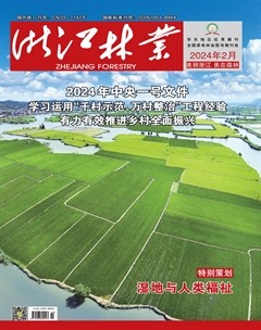 浙江林业