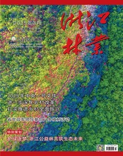 浙江林业