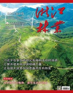 浙江林业
