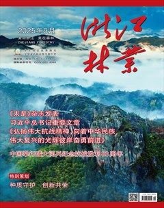 浙江林业