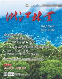 浙江林业