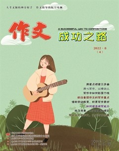 作文成功之路·作文交响乐