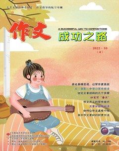 作文成功之路·作文交响乐