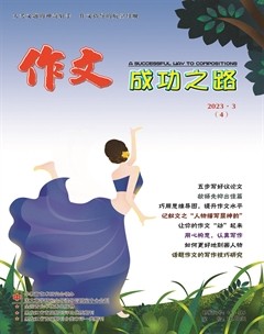 作文成功之路·作文交响乐