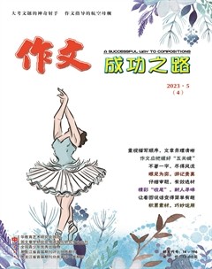 作文成功之路·作文交响乐
