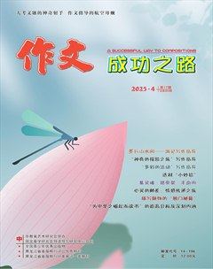 作文成功之路·作文交响乐