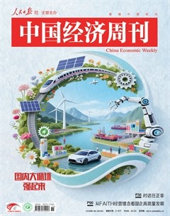 中国经济周刊