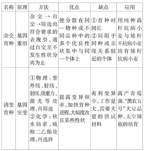 zkjy20132904-1-l.jpg