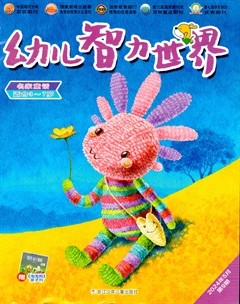 幼儿智力世界