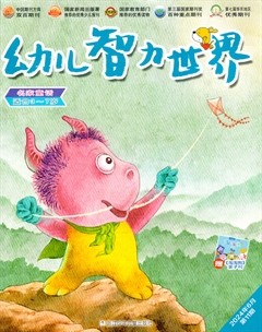 幼儿智力世界