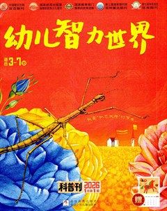 幼儿智力世界