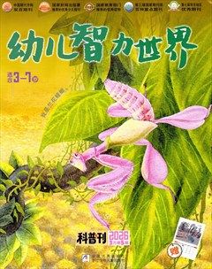 幼儿智力世界