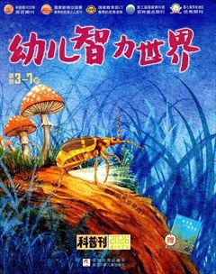 幼儿智力世界
