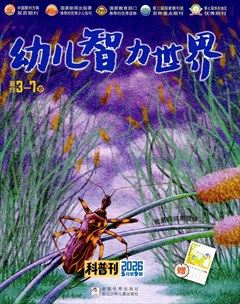 幼儿智力世界