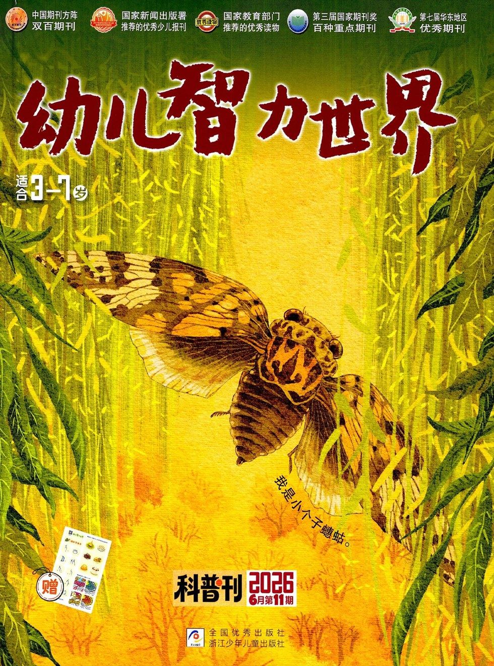 幼儿智力世界