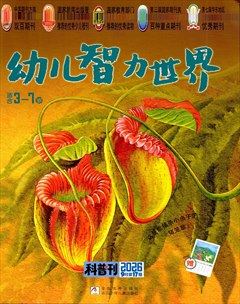 幼儿智力世界