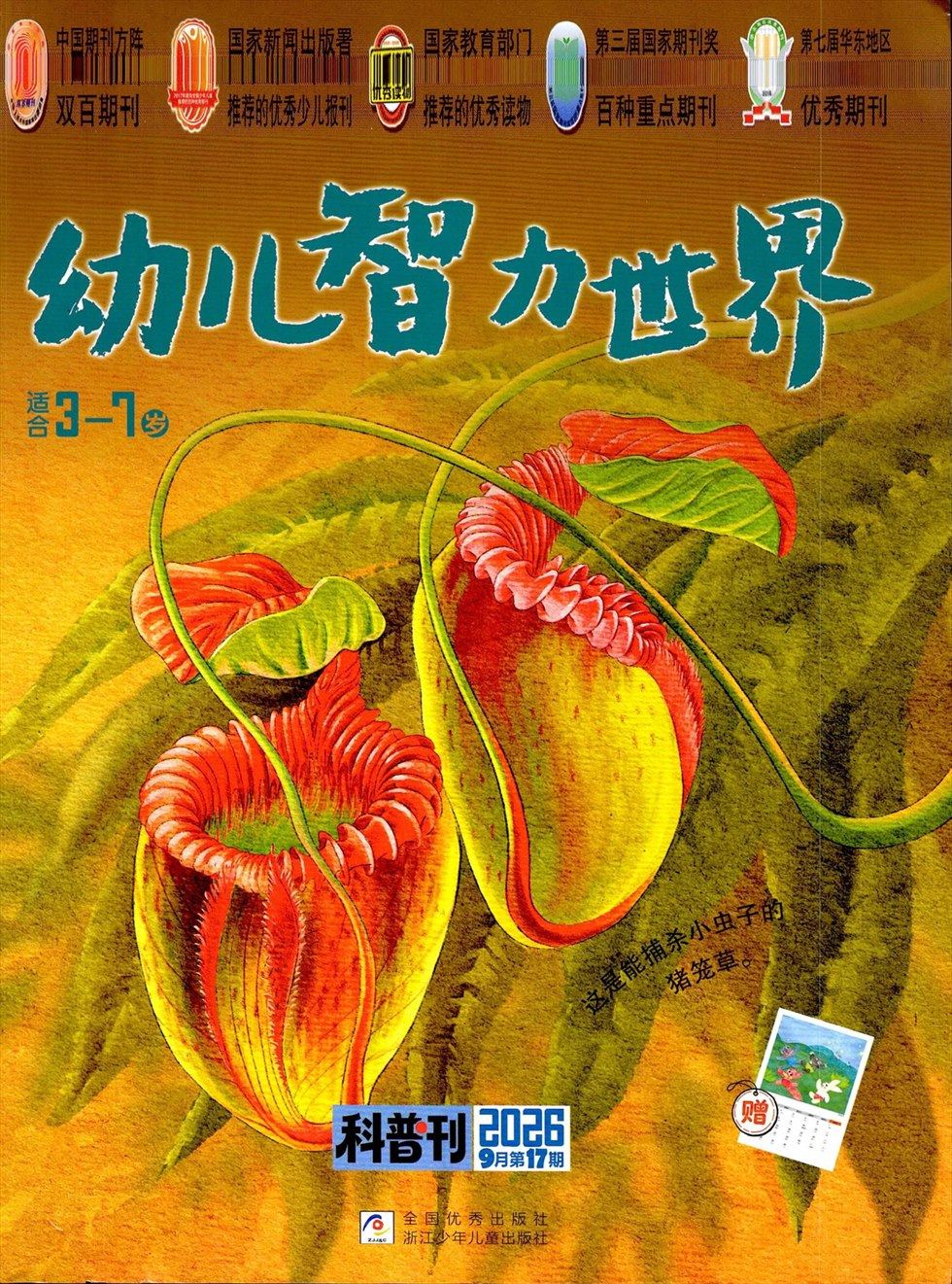 幼儿智力世界
