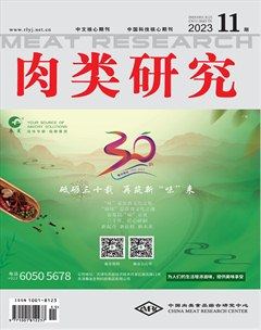 肉类研究