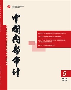 中国内部审计