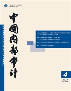 中国内部审计