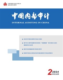 中国内部审计
