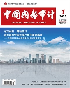 中国内部审计