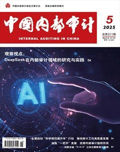 中国内部审计