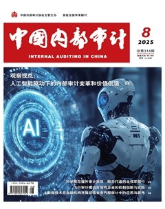 中国内部审计