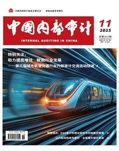 中国内部审计