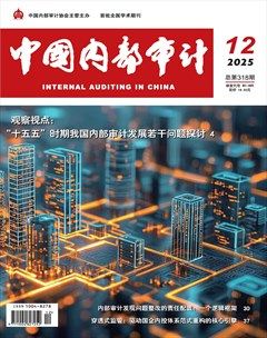 中国内部审计