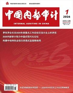 中国内部审计
