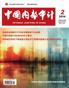 中国内部审计
