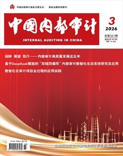 中国内部审计