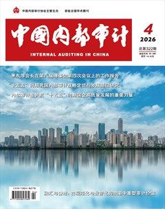 中国内部审计