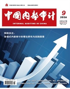 中国内部审计